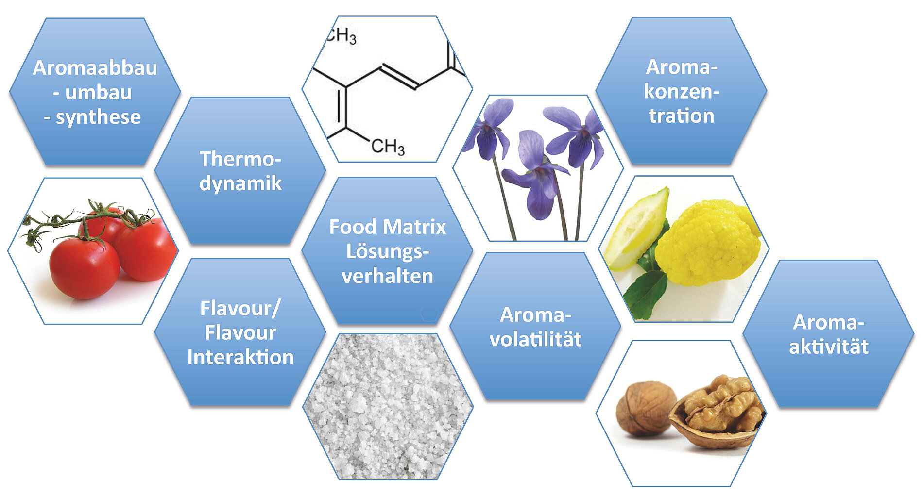 Abbildung 4: Einflussfaktoren in der Kombination von Aromen auf die sensorische Wahrnehmung 