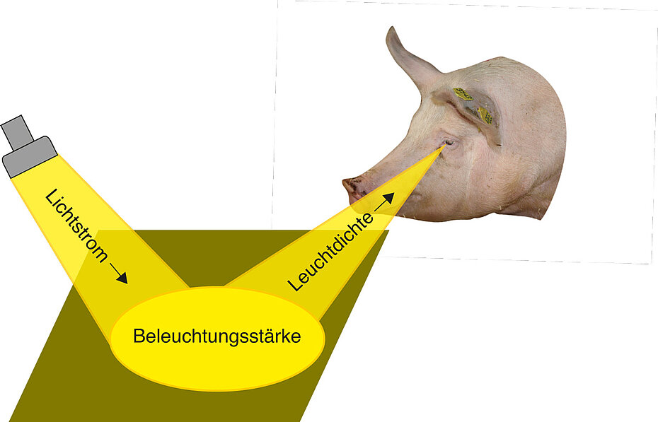 Abbildung 1: Übersicht der lichttechnischen Kenngrößen