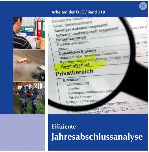 Effiziente Jahresabschlussanalyse