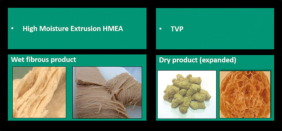 Produktvergleich Nassextrusion vs. Texturierte Pflanzen­proteine  (Quelle: DIL, Deutsches Institut für Lebensmitteltechnik, Quakenbrück)