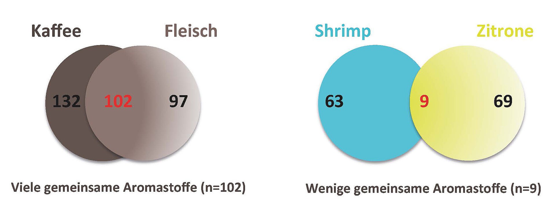 Abbildung 1: Adaptiert nach: Yong-Yeol Ahn et al. Flavor network and the principles of food pairing (2011)