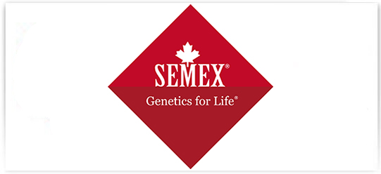 SEMEX