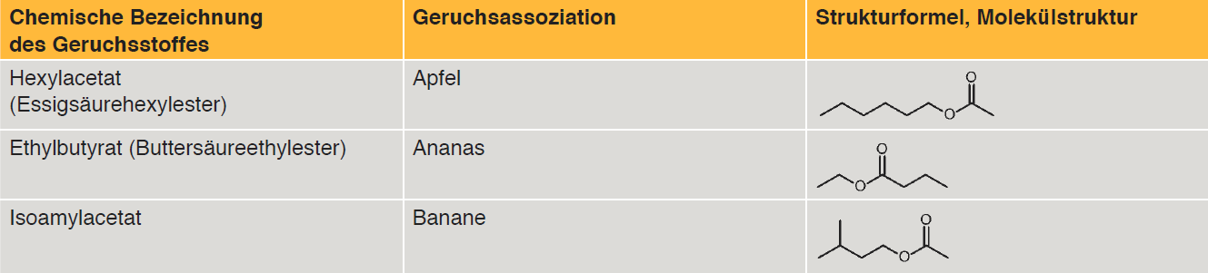 Tab. 3: Übersicht einiger Geruchsstoffe der Gruppe Ester 