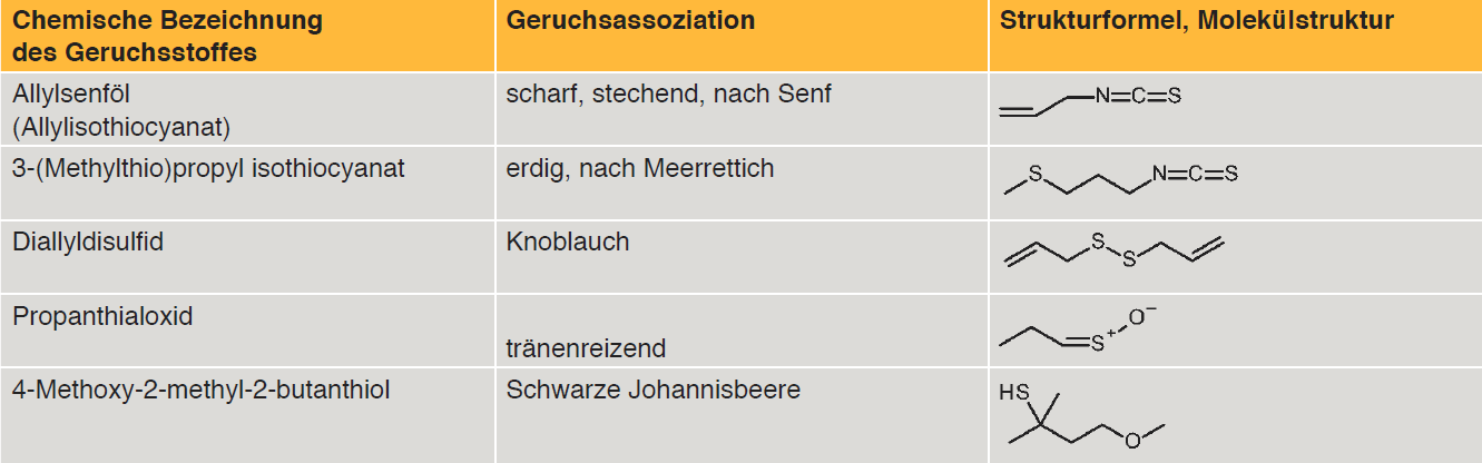 Tab. 5: Übersicht einiger Geruchsstoffe der Gruppe Schwefelverbindungen